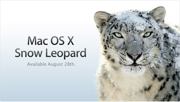 snow-leopard
