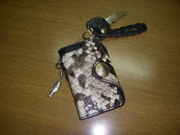 005-pison-keycase